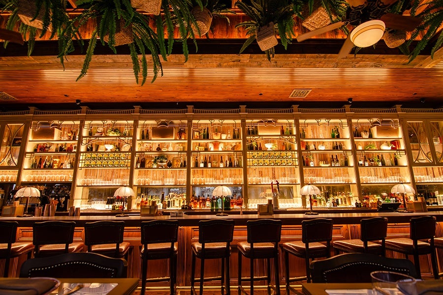 A warmly lit bar with a wooden counter and high-backed stools lined up in front. Behind the bar, shelves are filled with various bottles, glassware, and decorative items, all illuminated by soft yellow lighting. The ceiling above the bar features hanging green plants and wooden beams, adding a cozy and inviting atmosphere.