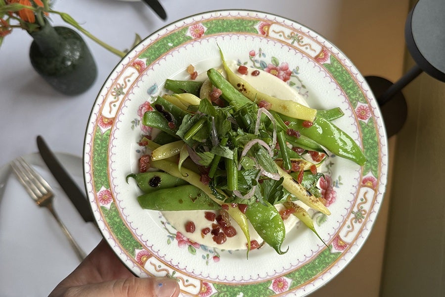 Overhead view of a plate of cooked green beans, prepared prettily.